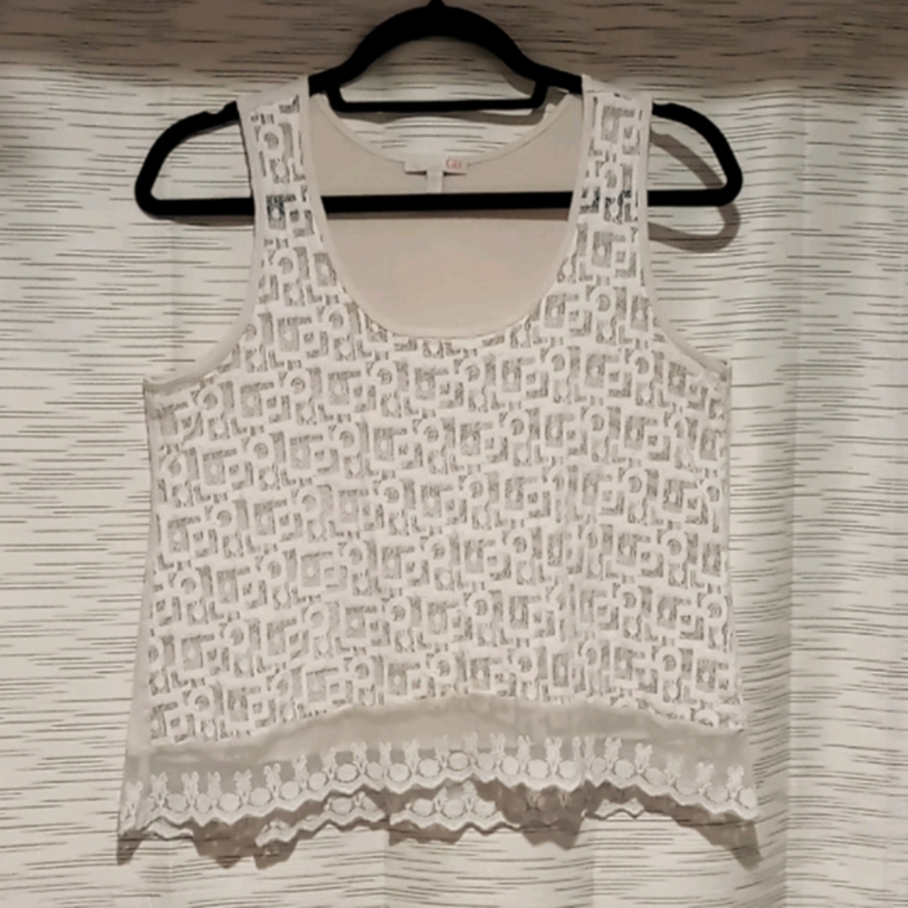 See through tank with solid back